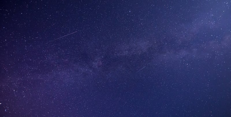 Starry Sky Gardens
